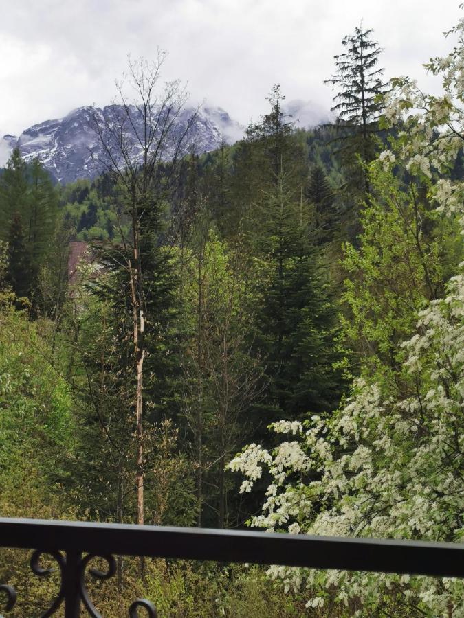 Apartamenty Villa Ski-Bowki 扎科帕内 外观 照片